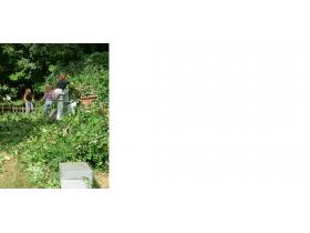 photo coins arrondis